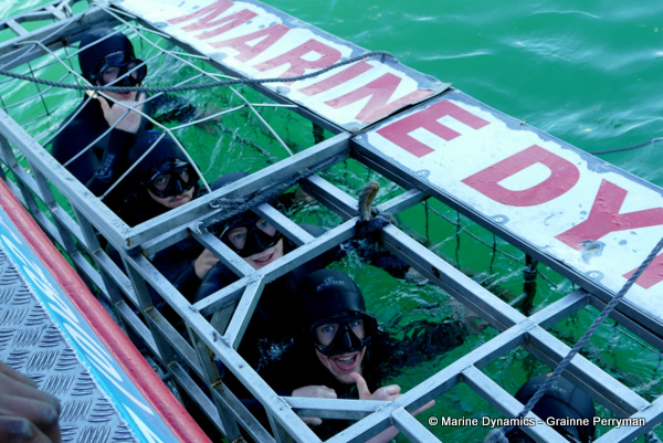 Shark cage diving, South Africa