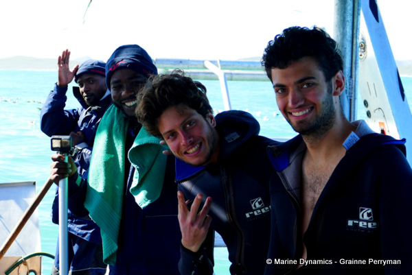 Shark cage diving, South Africa