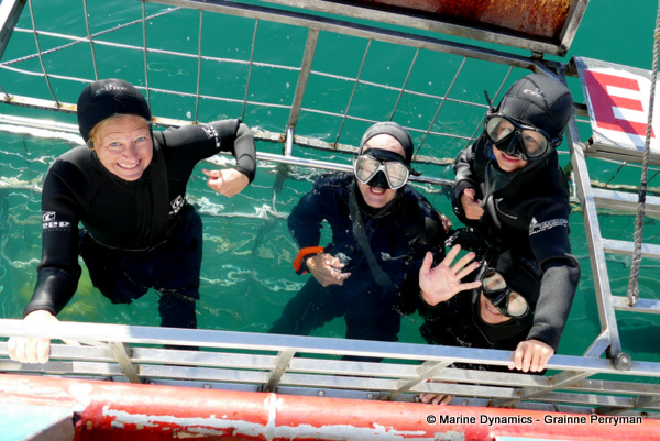 Shark cage diving, South Africa