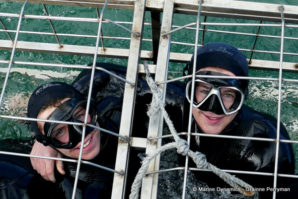 Shark cage diving, South Africa