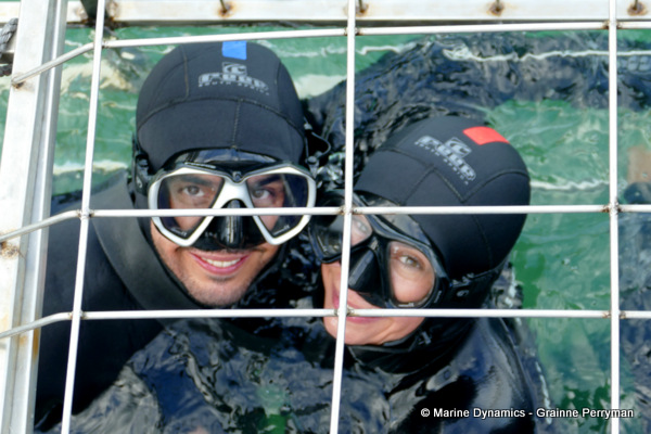 Shark cage diving, South Africa