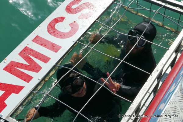 Shark cage diving, South Africa