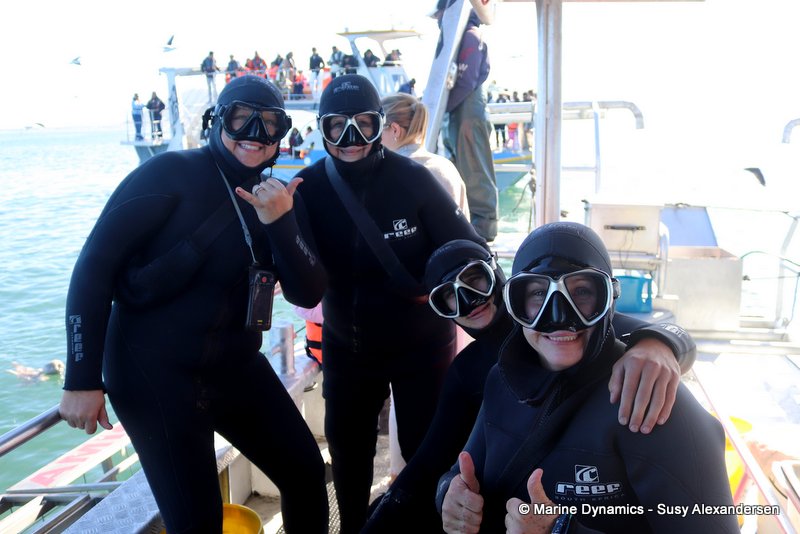 Shark Cage Diving, South Africa
