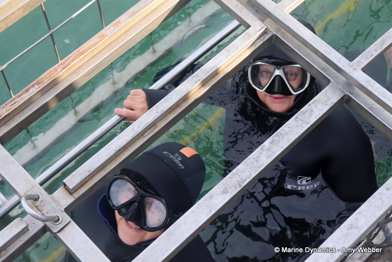 Shark Cage Diving, South Africa