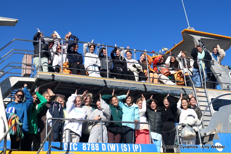 Shark Cage Diving, South Africa