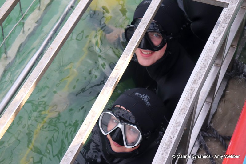 Shark Cage Diving, South Africa
