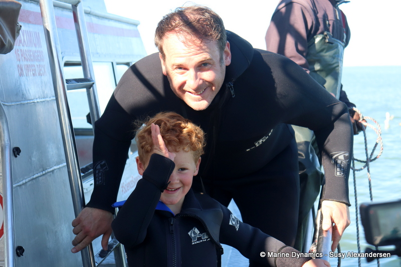 Shark Cage Diving, South Africa