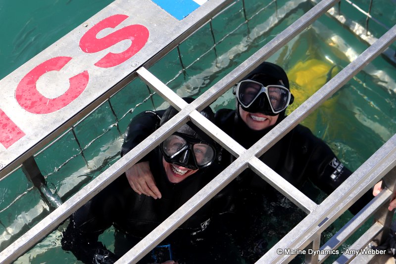 Shark Cage Diving, South Africa