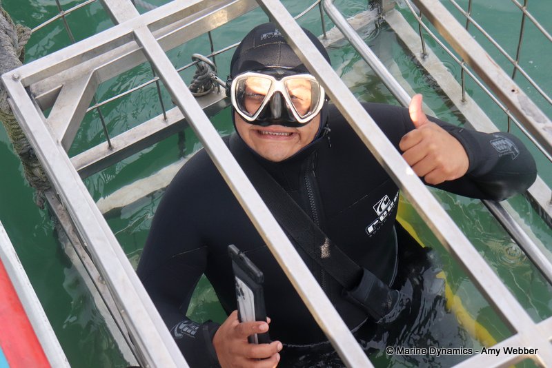Shark Cage Diving, South Africa