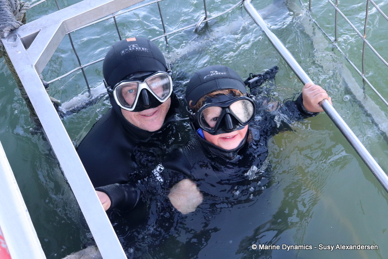 Shark Cage Diving, South Africa