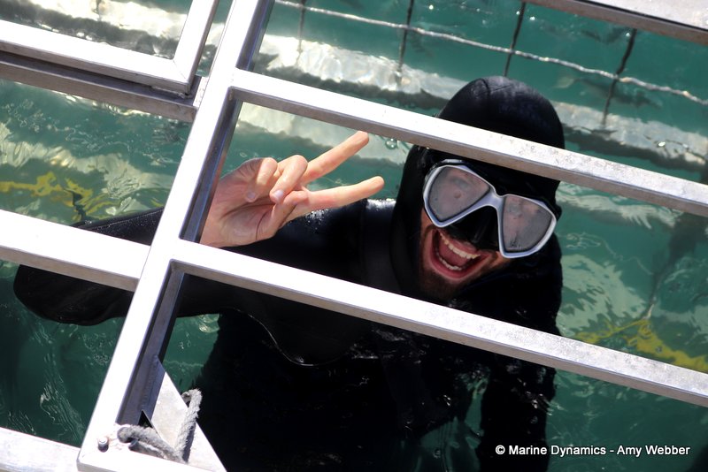 Shark Cage Diving, South Africa