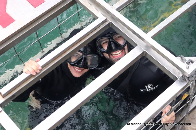 Shark Cage Diving, South Africa