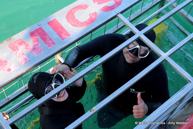 Shark Cage Diving, South Africa