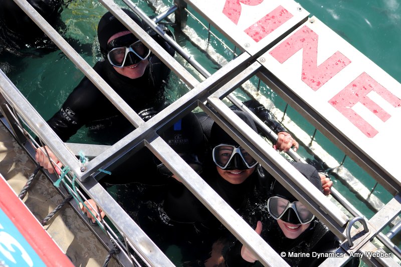 Shark Cage Diving, South Africa
