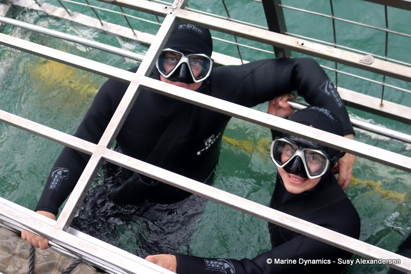 Shark Cage Diving, South Africa