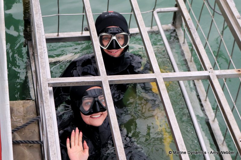 Shark Cage Diving, South Africa