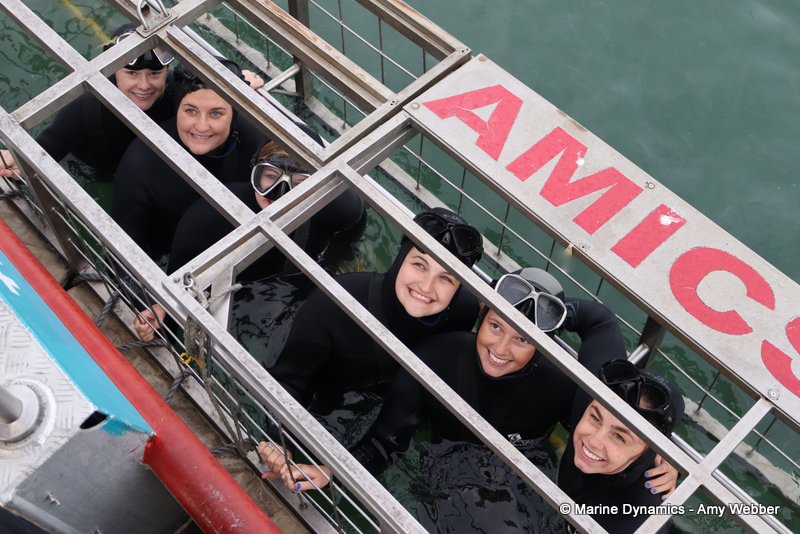 Shark Cage Diving, South Africa