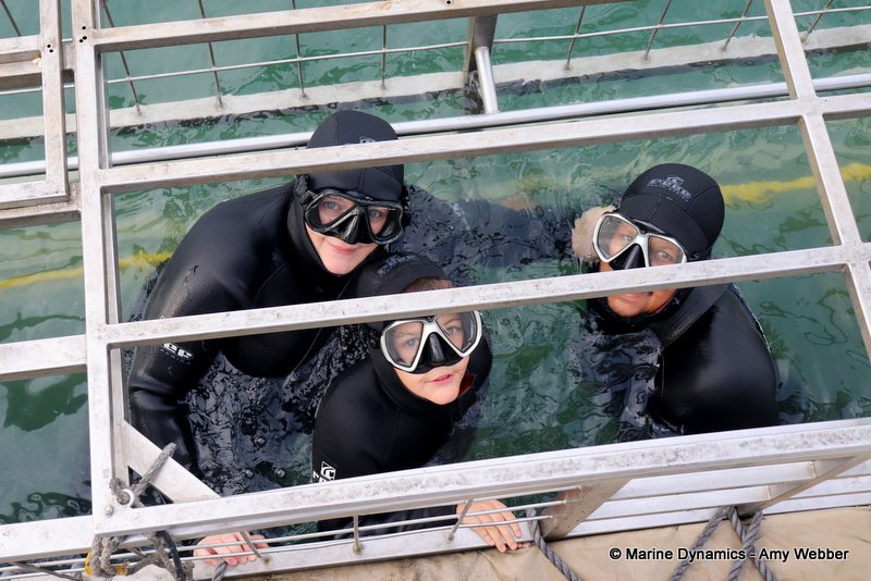 Shark Cage Diving, South Africa