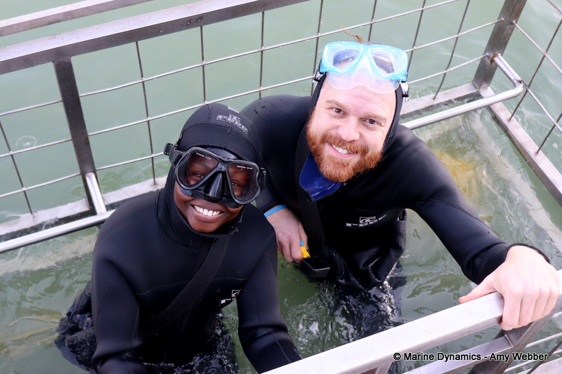 Shark cage diving, South Africa