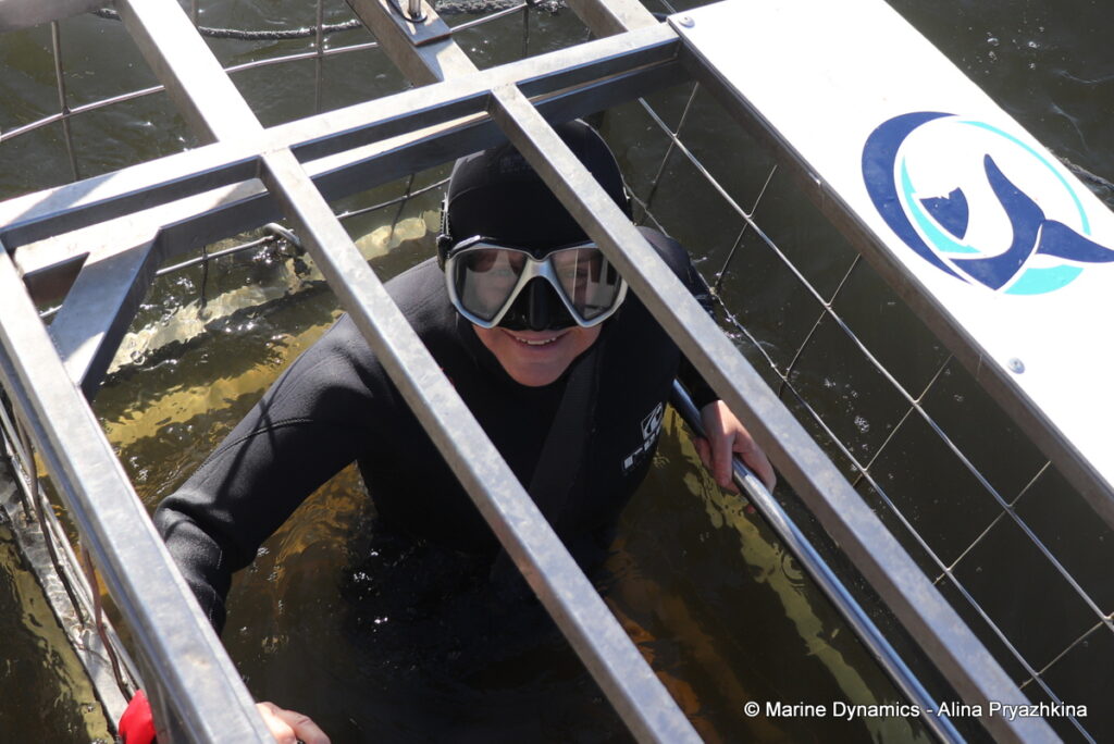 Shark Cage Diving, Gansbaai, South Africa