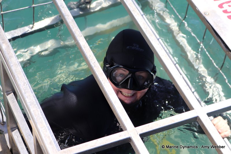 Shark Cage Diving, South Africa