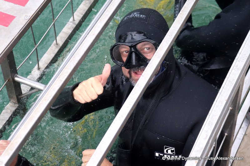 Shark Cage Diving, South Africa