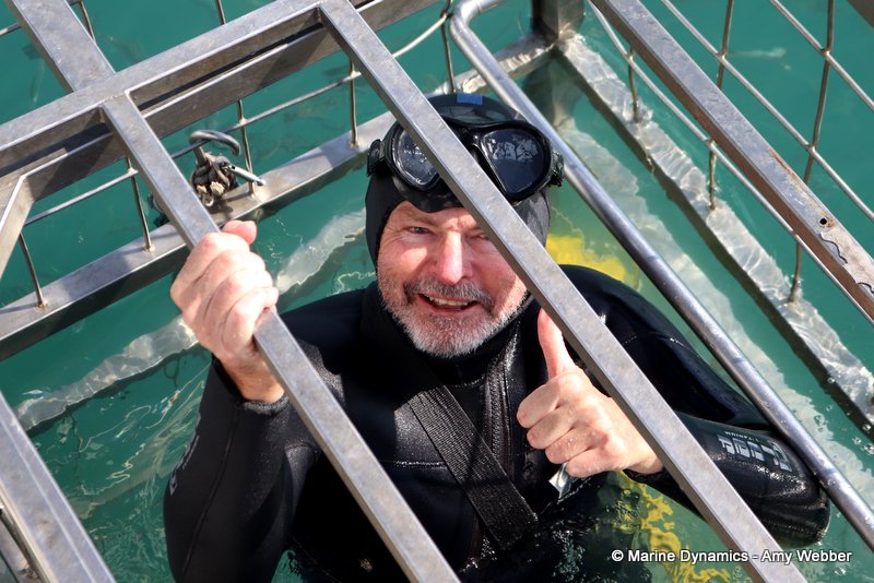 Shark cage diving, South Africa