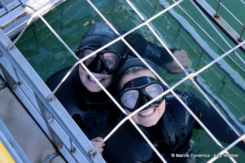Shark Cage Diving, South Africa