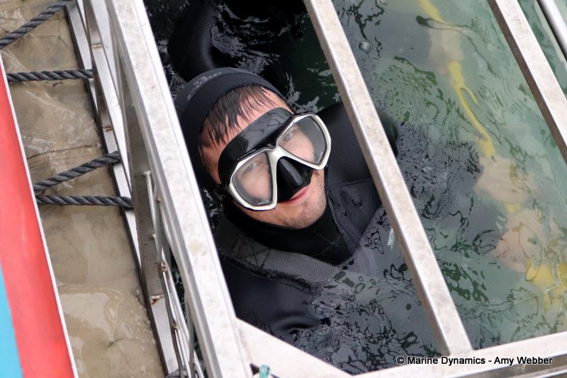 Shark Cage Diving, South Africa