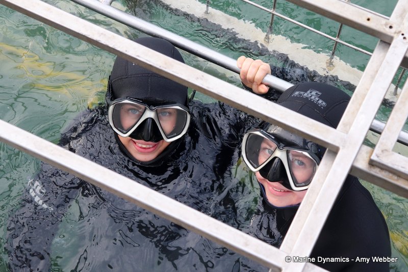 Shark Cage Diving, South Africa