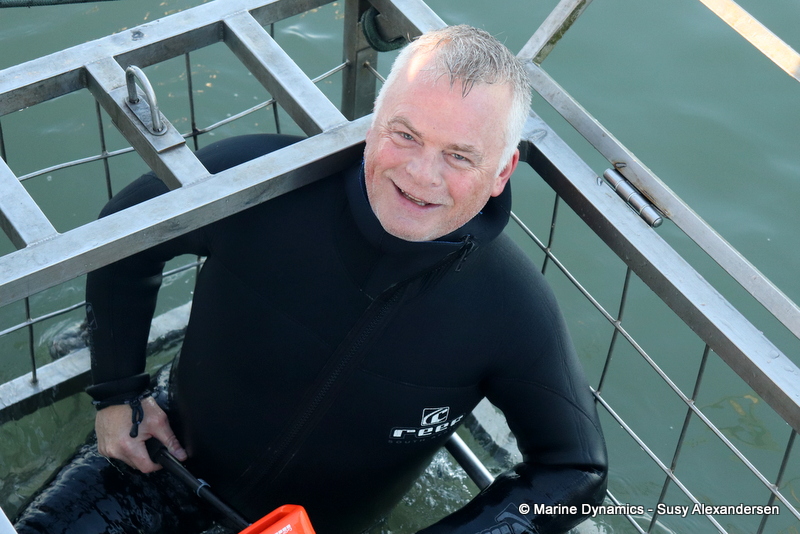 Shark cage diving, South Africa