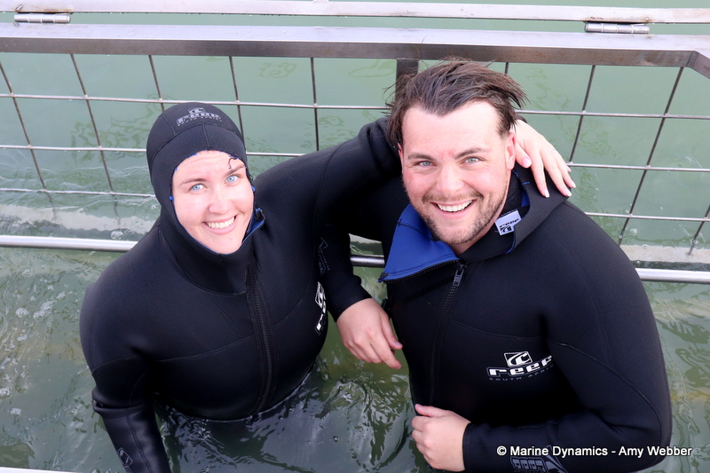 Shark cage diving, South Africa