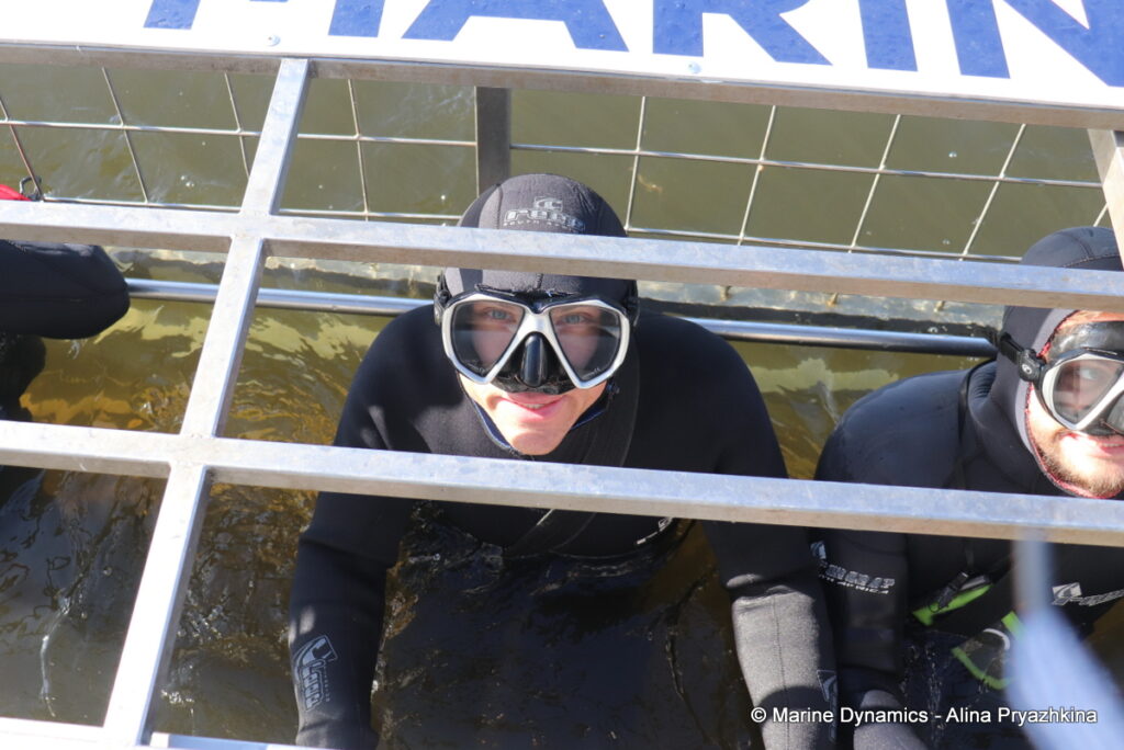 Shark Cage Diving, Gansbaai, South Africa