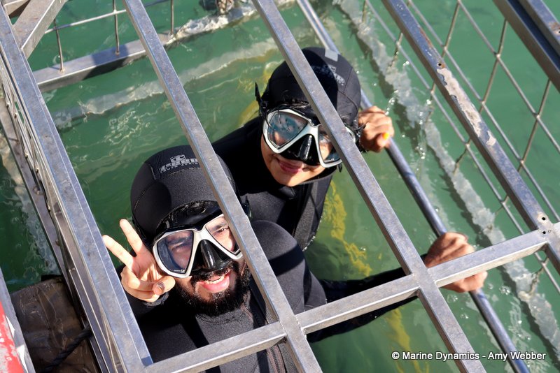 Shark cage diving, South Africa