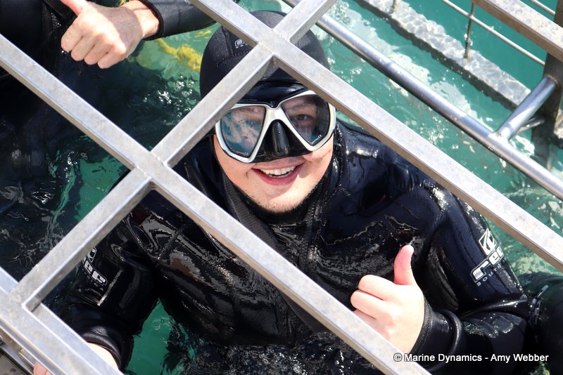 Shark cage diving, South Africa