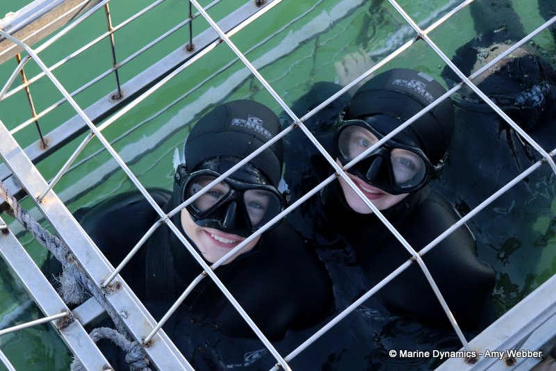Shark Cage Diving, South Africa