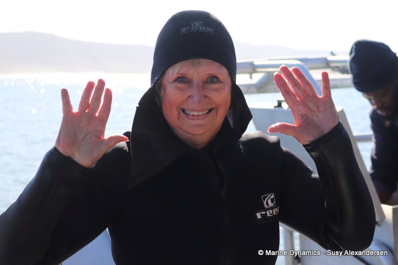 Shark Cage Diving, South Africa