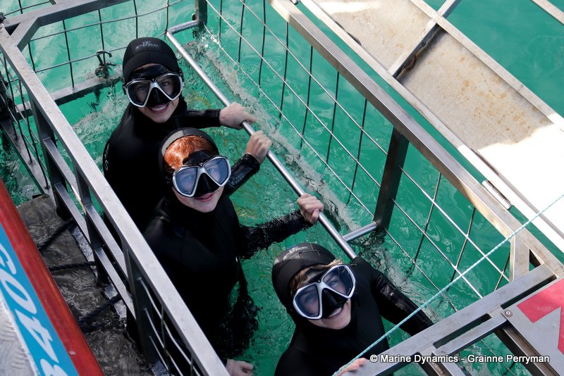 Shark cage diving, South Africa