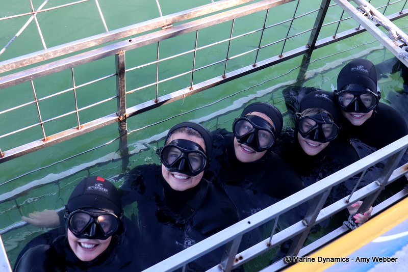Shark Cage Diving, South Africa