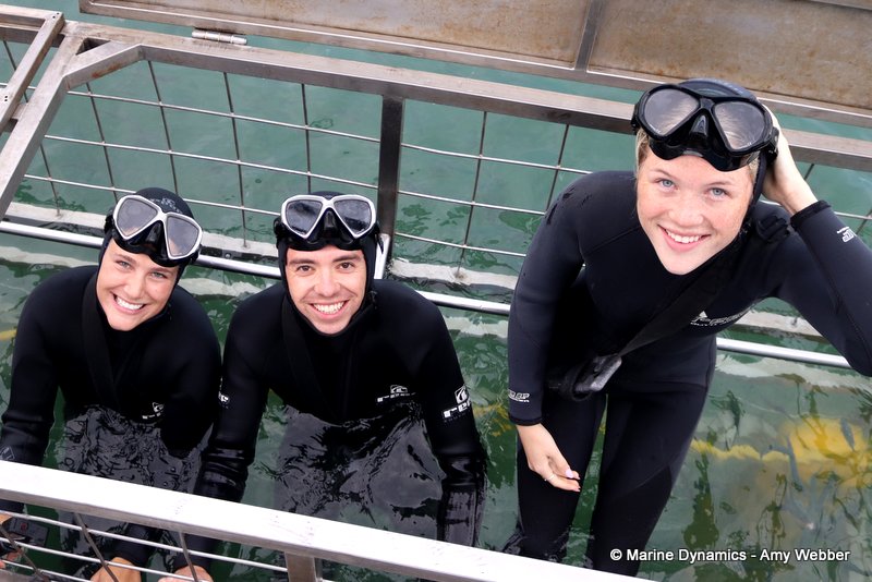Shark Cage Diving, South Africa