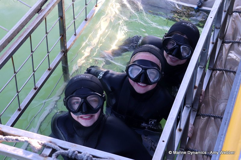 Shark Cage Diving, South Africa