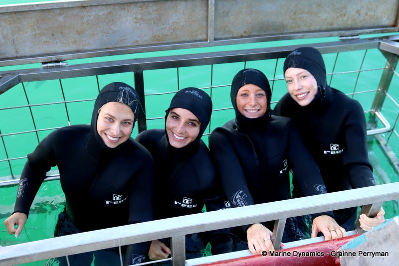 Shark cage diving, South Africa