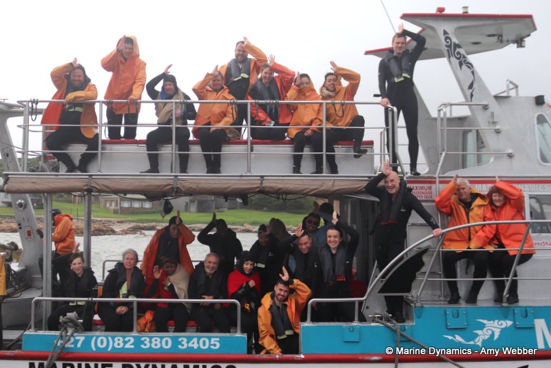 Shark Cage Diving, South Africa