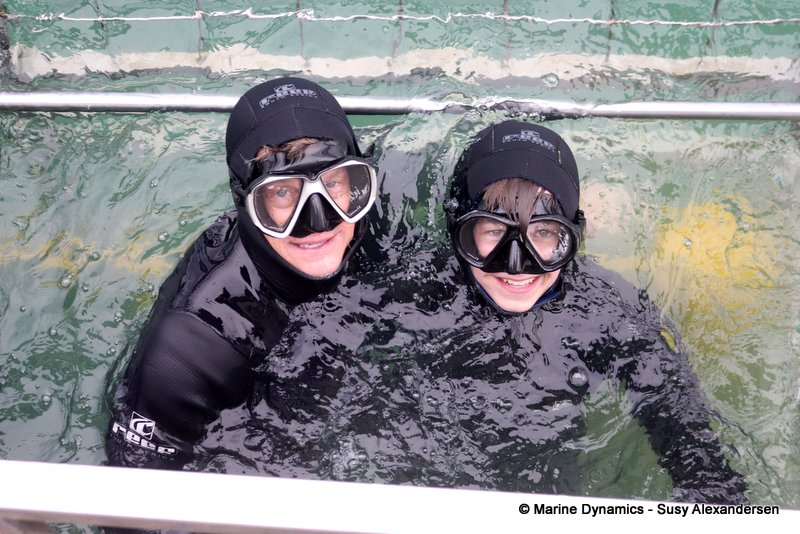 Shark Cage Diving, South Africa