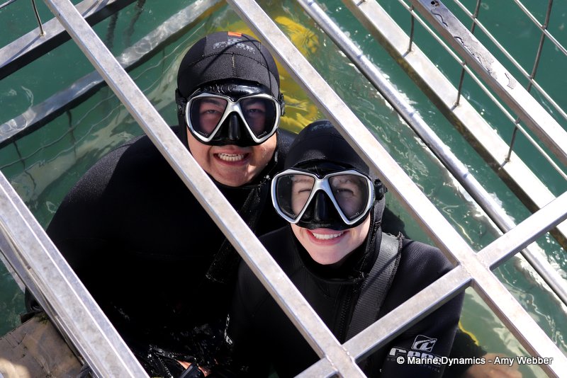Shark Cage Diving, South Africa