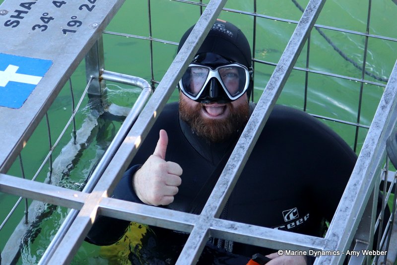 Shark Cage Diving, South Africa