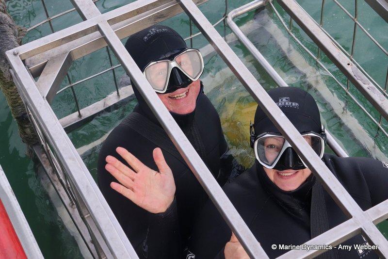Shark Cage Diving, South Africa