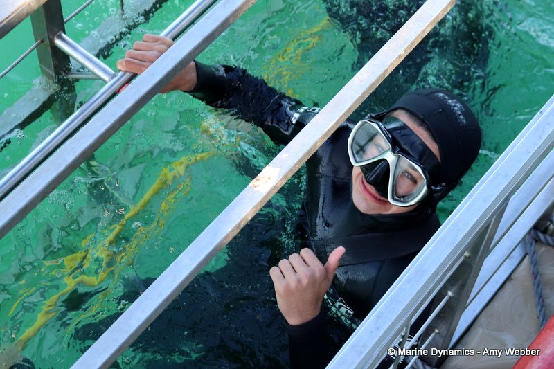 Shark Cage Diving, South Africa