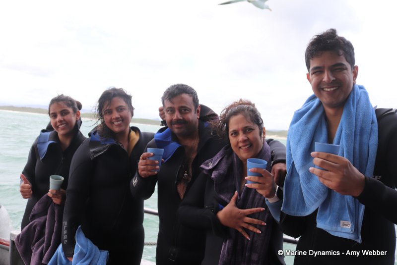 Shark cage diving, South Africa