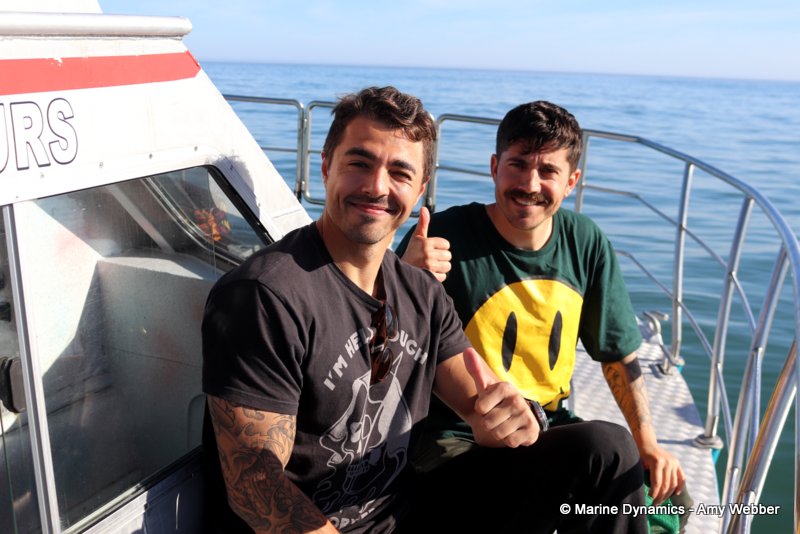 Shark Cage Diving, South Africa